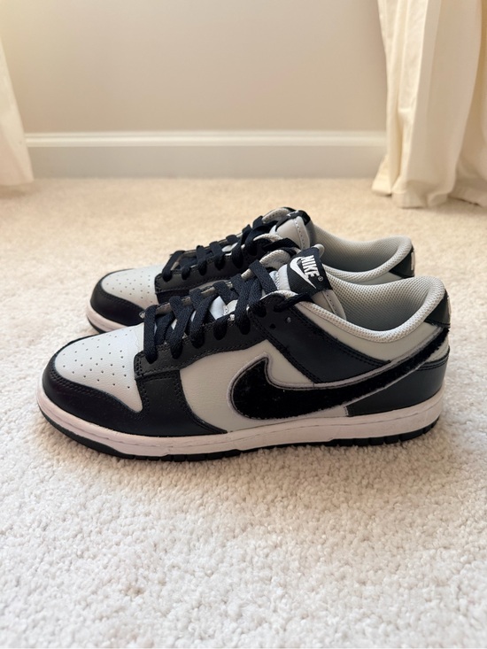 Nike Other - Nike Dunk Low Retro Chenille Swoosh